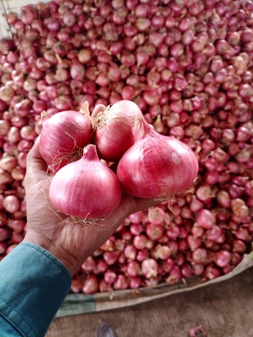 WhatsApp Image 2025-06-03 at 7.24.23 PM (2).jpeg